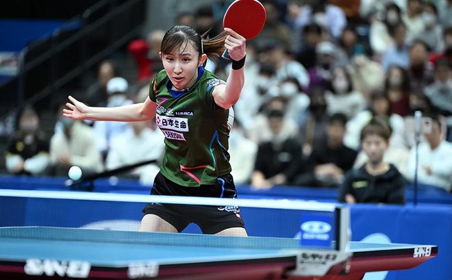 科技辅助手 科技辅助手